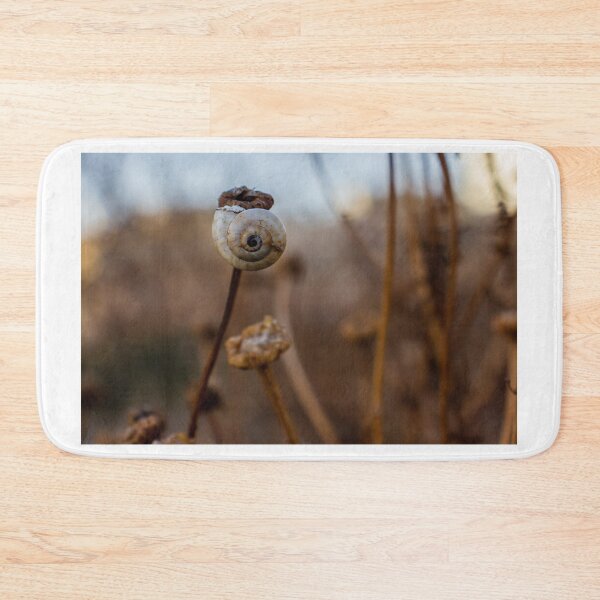 Item preview, Snail Shell on Dried Wildflower Stem With Spiral Detail in Soft Natural Light designed and sold by Nmallia.