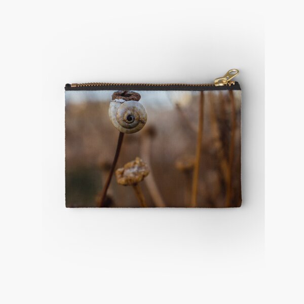 Item preview, Snail Shell on Dried Wildflower Stem With Spiral Detail in Soft Natural Light designed and sold by Nmallia.