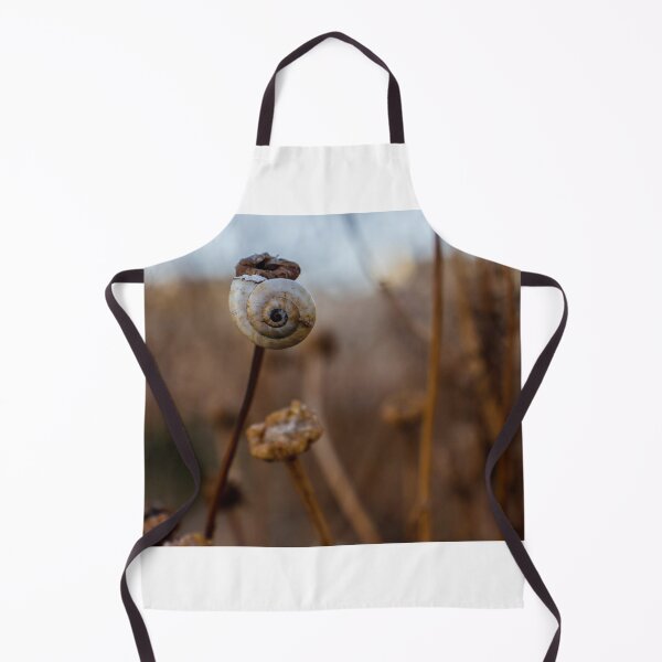 Item preview, Snail Shell on Dried Wildflower Stem With Spiral Detail in Soft Natural Light designed and sold by Nmallia.