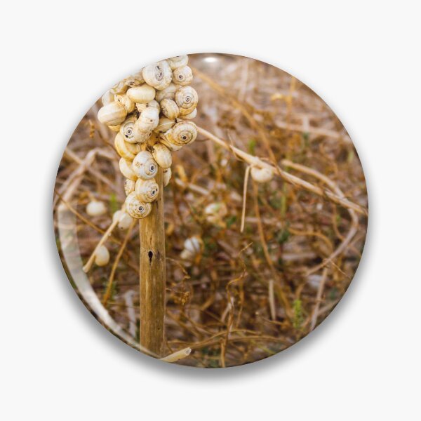 Item preview, Cluster of White Garden Snails on Dry Plant Stem Close-Up Macro Nature Texture designed and sold by Nmallia.
