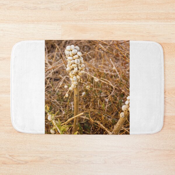 Item preview, Cluster of White Garden Snails on Dry Plant Stem Close-Up Macro Nature Texture designed and sold by Nmallia.
