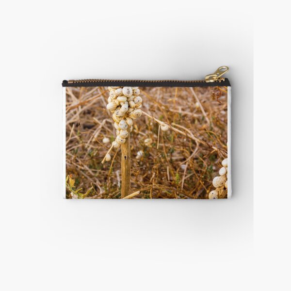 Item preview, Cluster of White Garden Snails on Dry Plant Stem Close-Up Macro Nature Texture designed and sold by Nmallia.