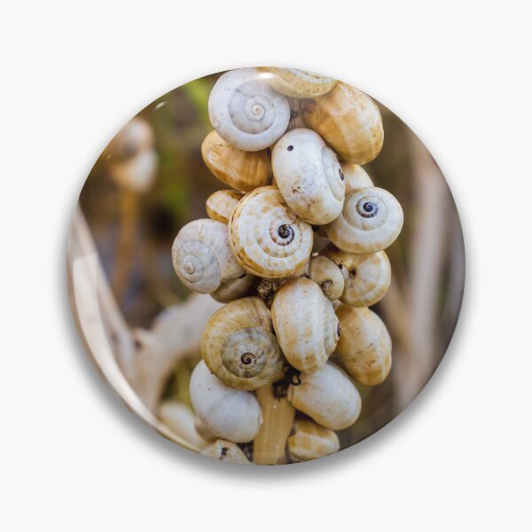 Item preview, Cluster of White Garden Snails on Dry Plant Stem Close-Up Macro Nature Texture designed and sold by Nmallia.