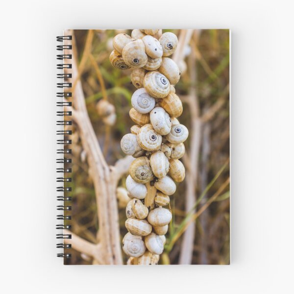 Item preview, Cluster of White Garden Snails on Dry Plant Stem Close-Up Macro Nature Texture designed and sold by Nmallia.