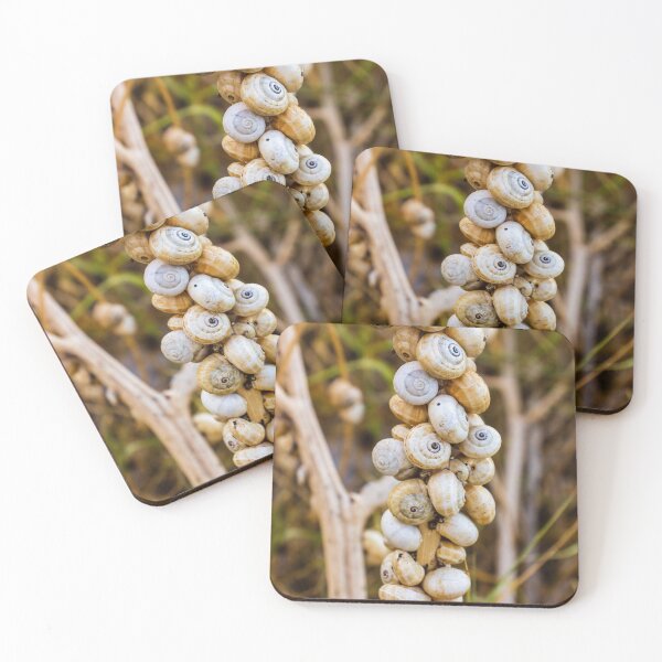 Item preview, Cluster of White Garden Snails on Dry Plant Stem Close-Up Macro Nature Texture designed and sold by Nmallia.