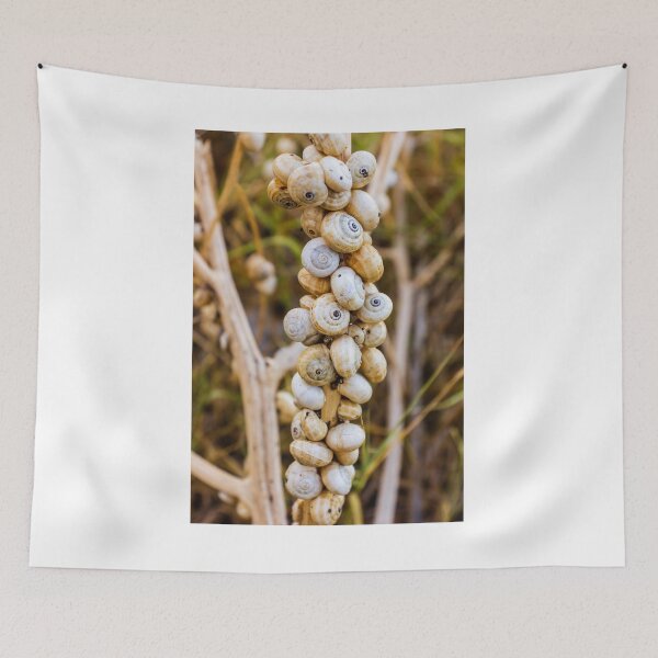 Item preview, Cluster of White Garden Snails on Dry Plant Stem Close-Up Macro Nature Texture designed and sold by Nmallia.