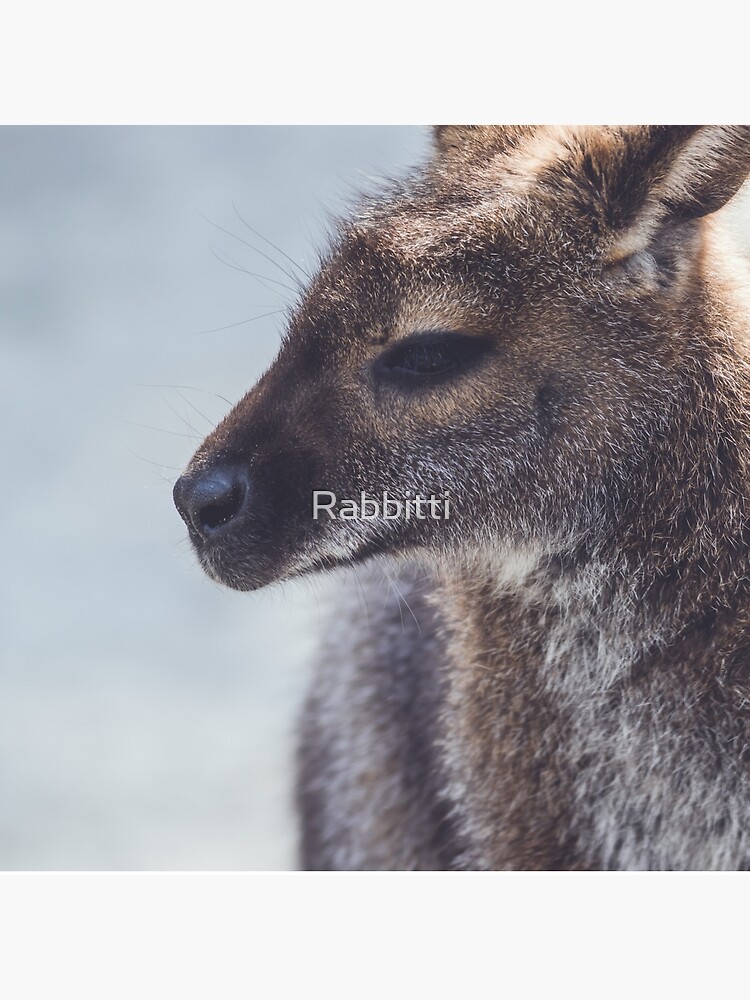 Wallaby hanging around the park in vintage setting | Tote Bag