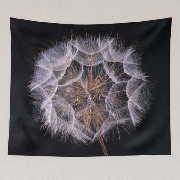 Item preview, Dandelion Clock on black background designed and sold by assaf.