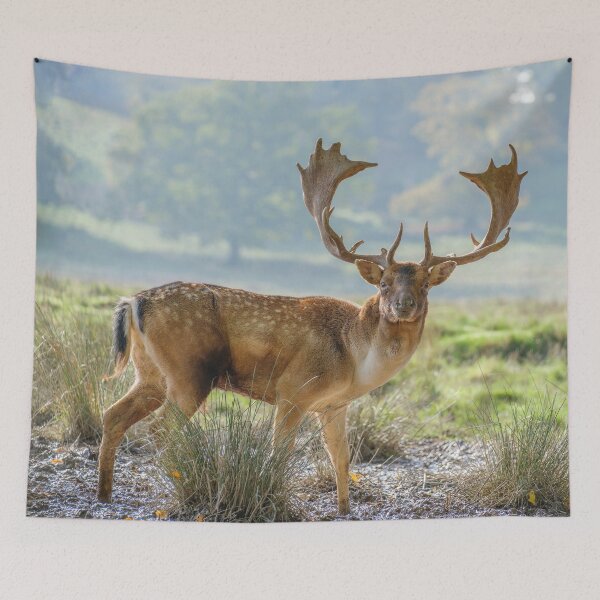 Item preview, Graceful Wilderness designed and sold by assaf.