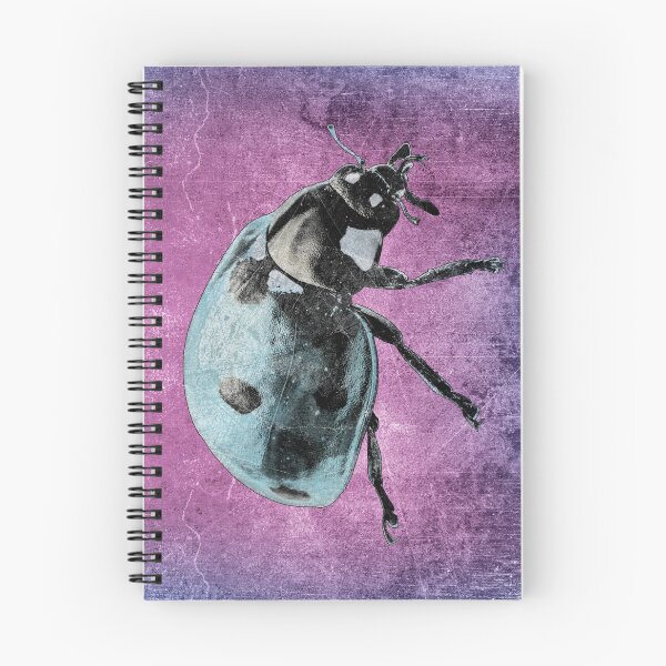 Item preview, Blue Seven Spot Ladybug Beetle Macro Insect Specimen designed and sold by Ghoul Enterprises.