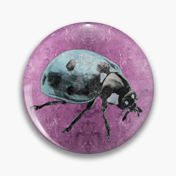 Item preview, Blue Seven Spot Ladybug Beetle Macro Insect Specimen designed and sold by Ghoul Enterprises.
