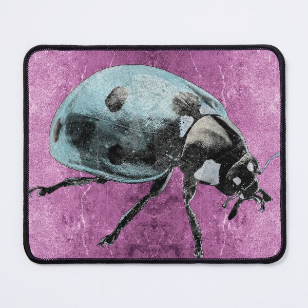 Item preview, Blue Seven Spot Ladybug Beetle Macro Insect Specimen designed and sold by Ghoul Enterprises.
