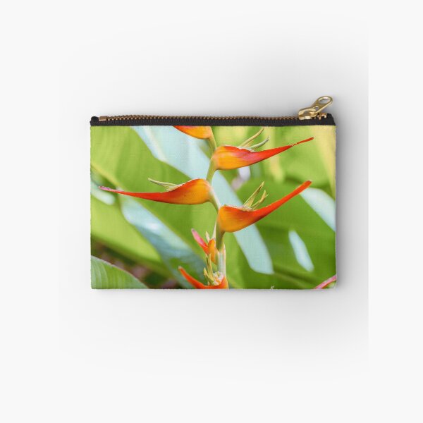 Item preview, Lobster Claw Plant designed and sold by assaf.
