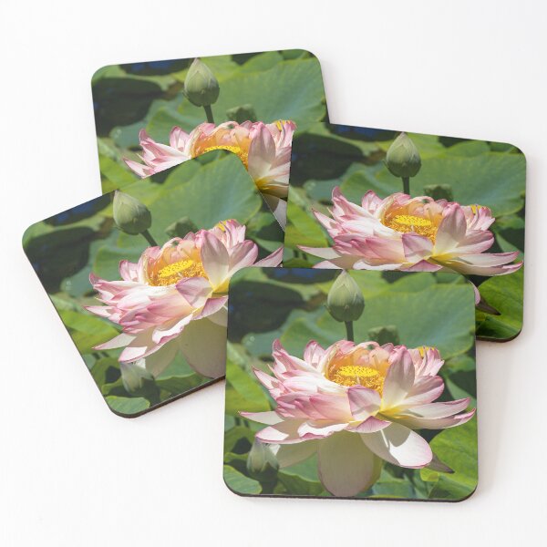Item preview, Summer Zen: Pink Sacred Lotus Flower in Full Bloom designed and sold by Twisted Light Images.