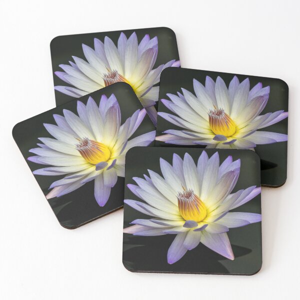Item preview, Purple Water Lily in Full Bloom designed and sold by Twisted Light Images.