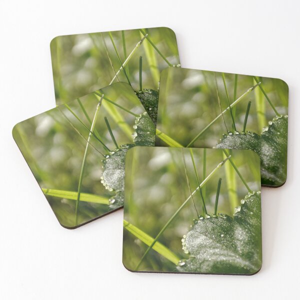 Item preview, Dew on lady's mantle designed and sold by Riyou163.