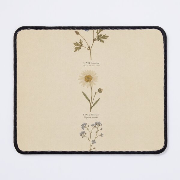 Item preview, Pressed Wildflower Study | Vintage Botanical Illustration designed and sold by Zaramodo.