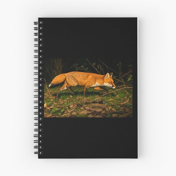 Artikelvorschau, Waldfuchs – Cartoon-Wildtiere, Wald, Naturkunst entworfen und verkauft von MTPhotos1406.