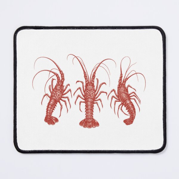 Item preview, Western Rock Lobster Trio Vintage Aussie Crayfish Cray Seafood designed and sold by Yellowriversss.