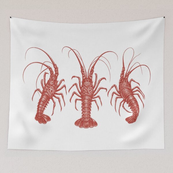 Item preview, Western Rock Lobster Trio Vintage Aussie Crayfish Cray Seafood designed and sold by Yellowriversss.