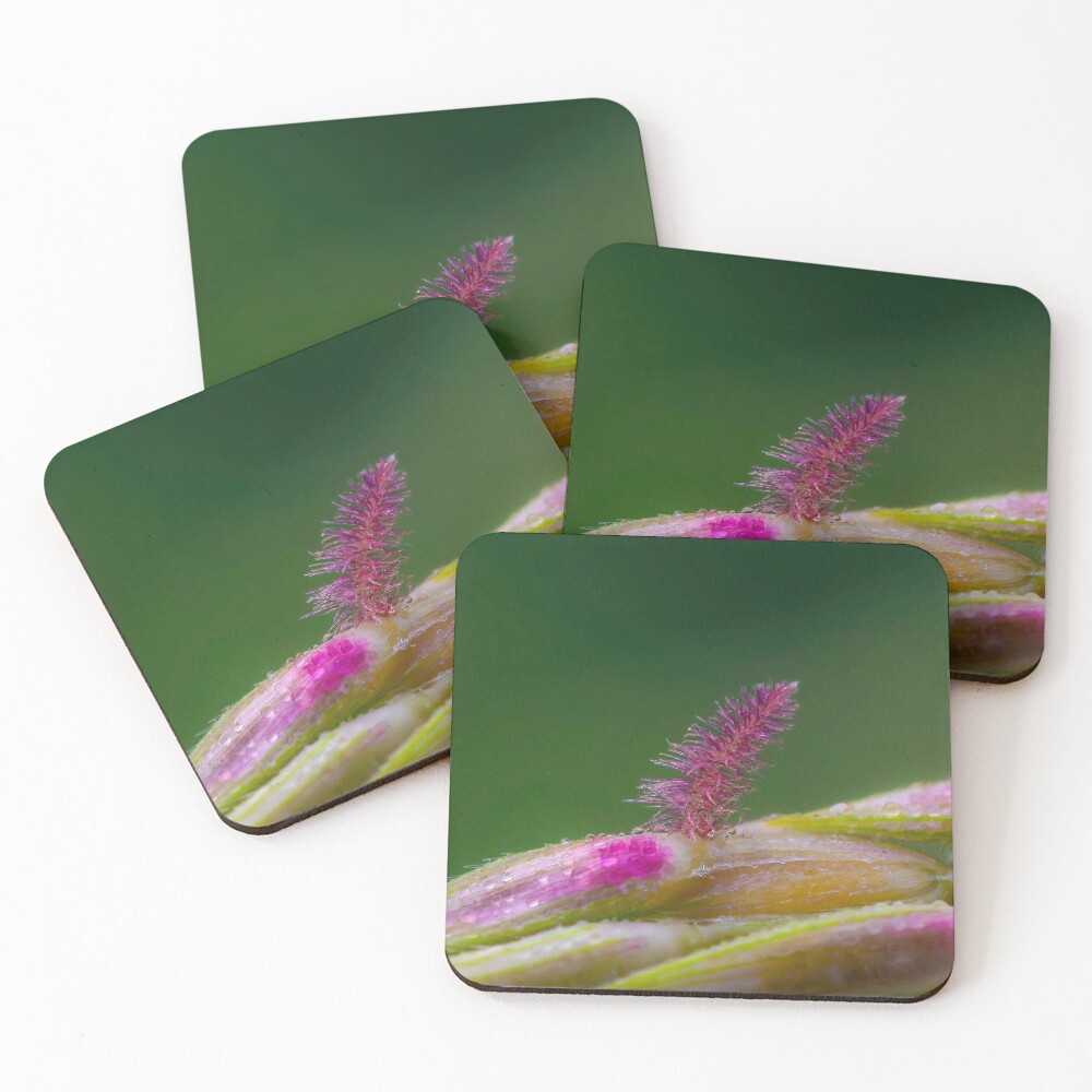 Item preview, Coasters (Set of 4) designed and sold by RalphGoldsmith.