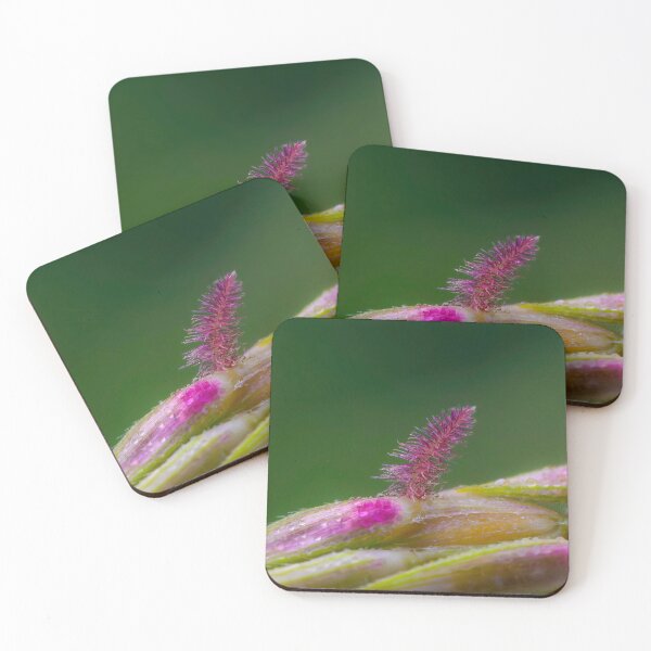 Item preview, Flowering Spikelet designed and sold by Ralph Goldsmith.
