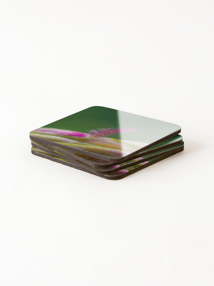 Thumbnail 4 of 5, Coasters (Set of 4), Flowering Spikelet designed and sold by RalphGoldsmith.