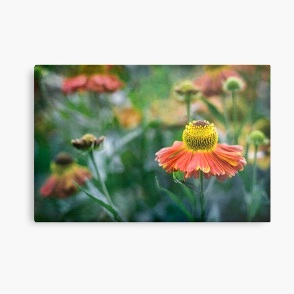 I Predict a Riot Metal Print