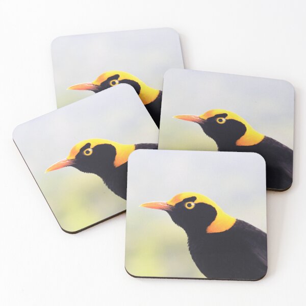 Item preview, Regent Bowerbird close up designed and sold by Rachel Elizabeth Photography.