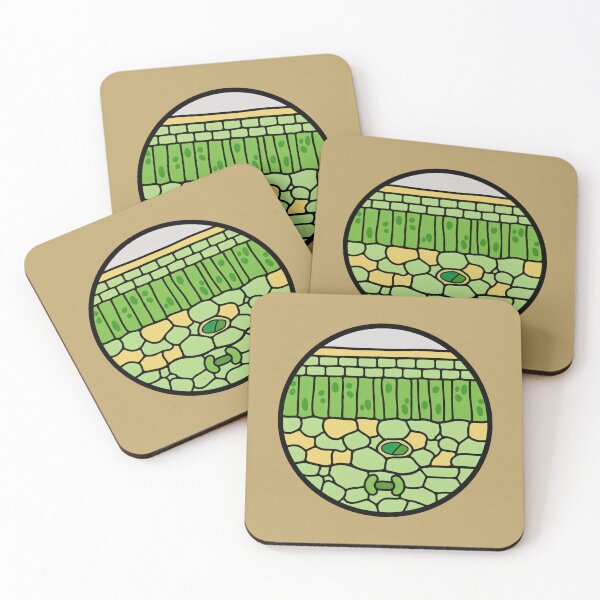Item preview, Plant Leaf Cross Section Anatomy - Botany & Biology Science Art designed and sold by Molecularmerch.