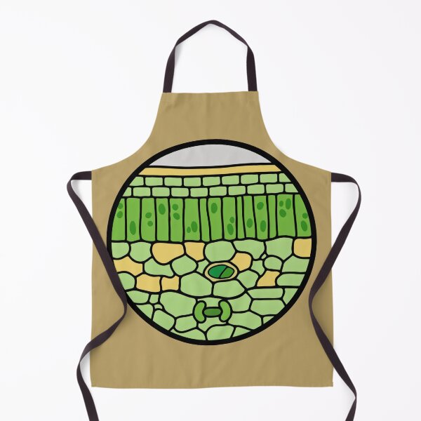 Item preview, Plant Leaf Cross Section Anatomy - Botany & Biology Science Art designed and sold by Molecularmerch.