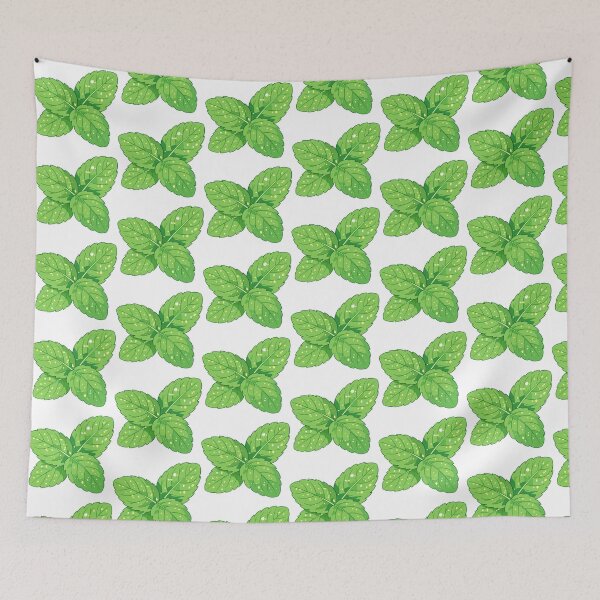 Item preview, Cute Kiwi Soda Clipart PNG designed and sold by KJackArtwork.