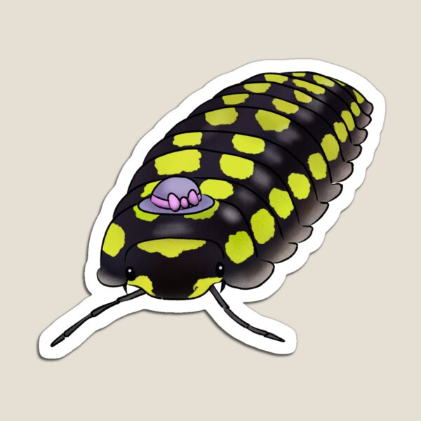 Item preview, Gestroi's pill woodlouse designed and sold by LoeverofAnimals.