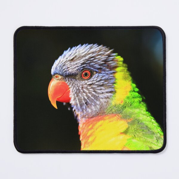 Item preview, Rainbow Lorikeet in profile designed and sold by Rachel Elizabeth Photography.