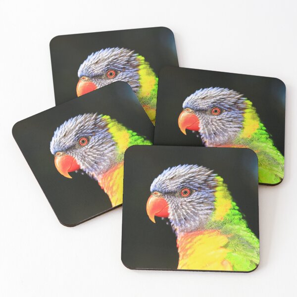 Item preview, Rainbow Lorikeet in profile designed and sold by Rachel Elizabeth Photography.