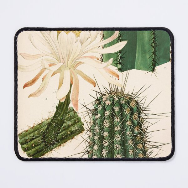 Item preview, The Cactaceae Vol. 2 1919 designed and sold by Gilmour-Prints.