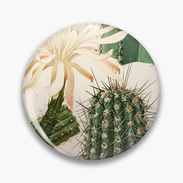 Item preview, The Cactaceae Vol. 2 1919 designed and sold by Gilmour-Prints.