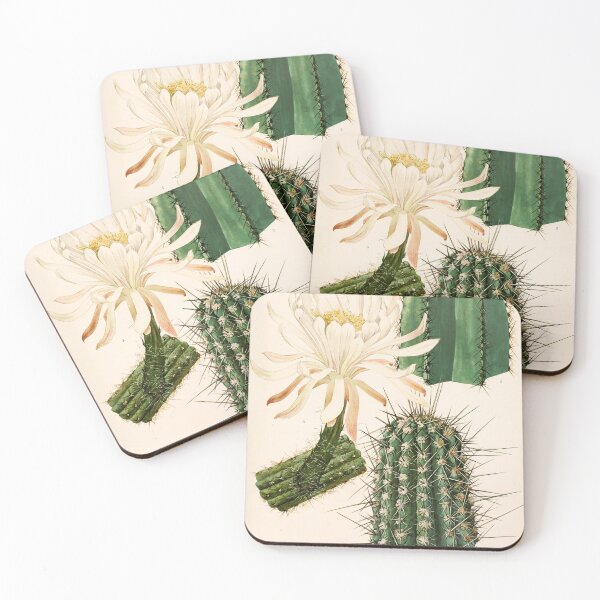 Item preview, The Cactaceae Vol. 2 1919 designed and sold by Gilmour-Prints.