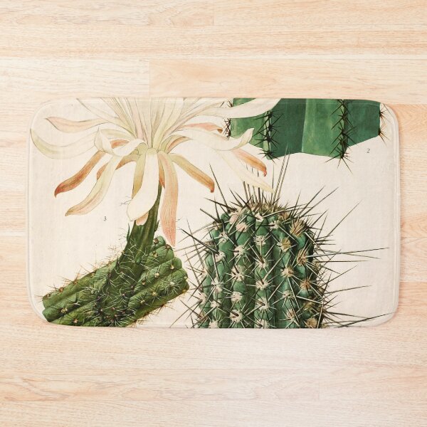 Item preview, The Cactaceae Vol. 2 1919 designed and sold by Gilmour-Prints.