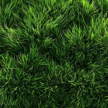 Artwork thumbnail, Grass texture by ScienceRex