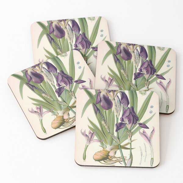 Item preview, Vintage Botanical Print No. 92 1887 designed and sold by Gilmour-Prints.