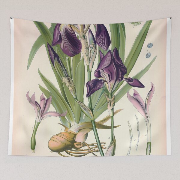 Item preview, Vintage Botanical Print No. 92 1887 designed and sold by Gilmour-Prints.