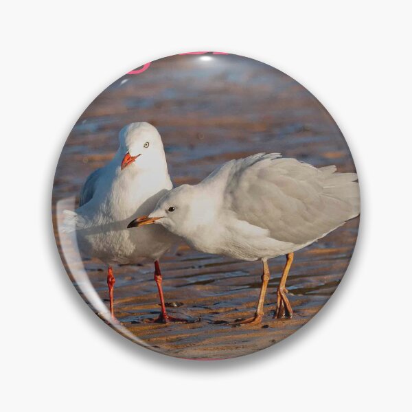 Item preview, Two Silver Gulls Interacting kindly designed and sold by Fairywren Images.