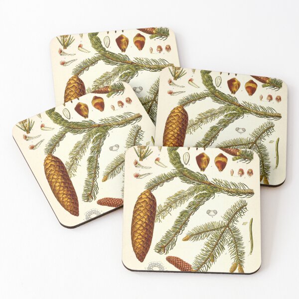 Item preview, Kohler's Medicinal Plants 1887 designed and sold by Gilmour-Prints.