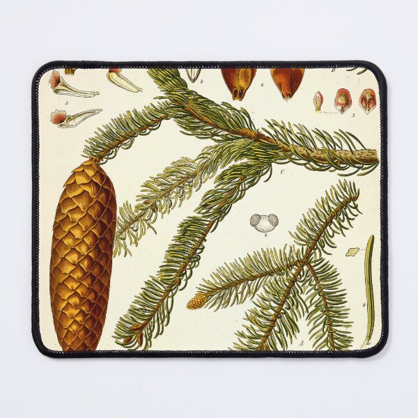 Item preview, Kohler's Medicinal Plants 1887 designed and sold by Gilmour-Prints.