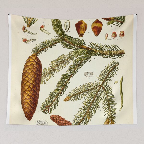Item preview, Kohler's Medicinal Plants 1887 designed and sold by Gilmour-Prints.
