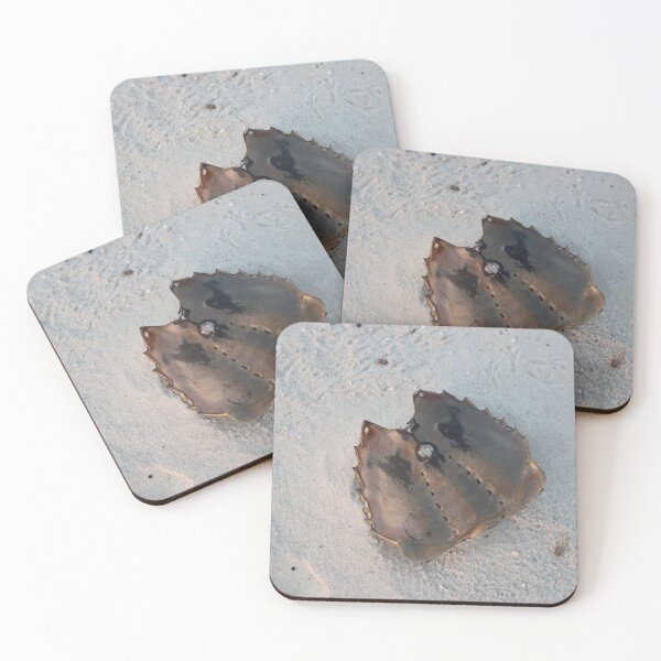 Item preview, Shell of a horseshoe crab designed and sold by gratogratto.