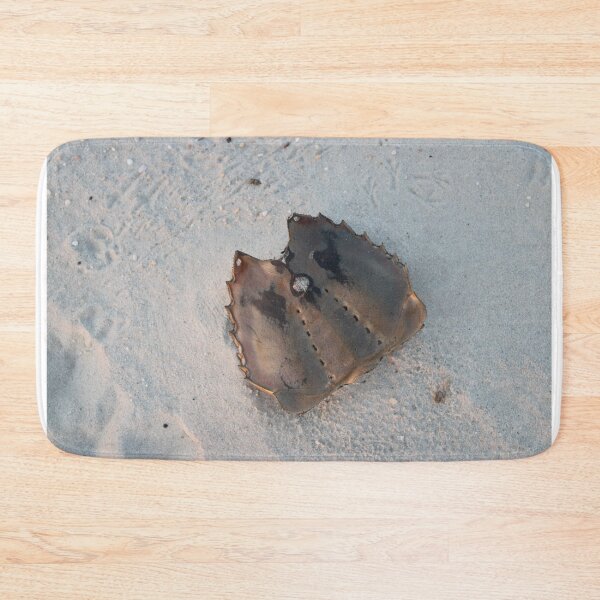 Item preview, Shell of a horseshoe crab designed and sold by gratogratto.