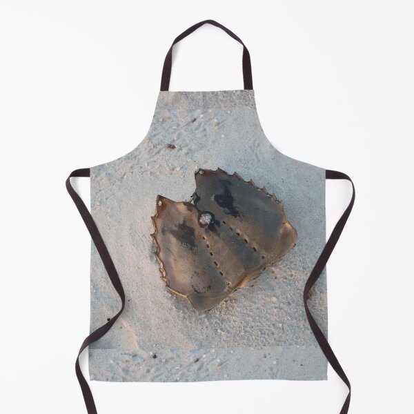 Item preview, Shell of a horseshoe crab designed and sold by gratogratto.