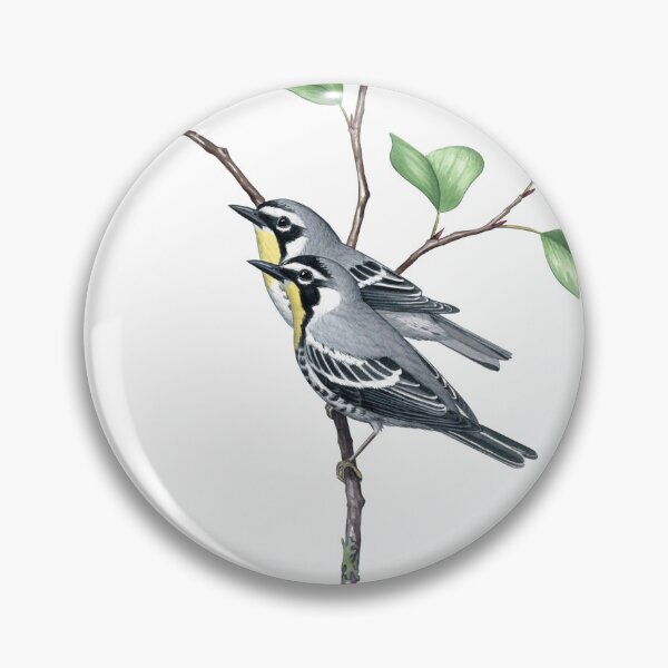 Artikelvorschau, Gelbkehl-Waldsänger (Setophaga dominica) entworfen und verkauft von JadaFitch.